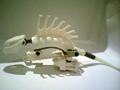 gallery_6705_151_30293.jpg