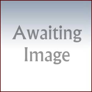 awaiting-large.jpg