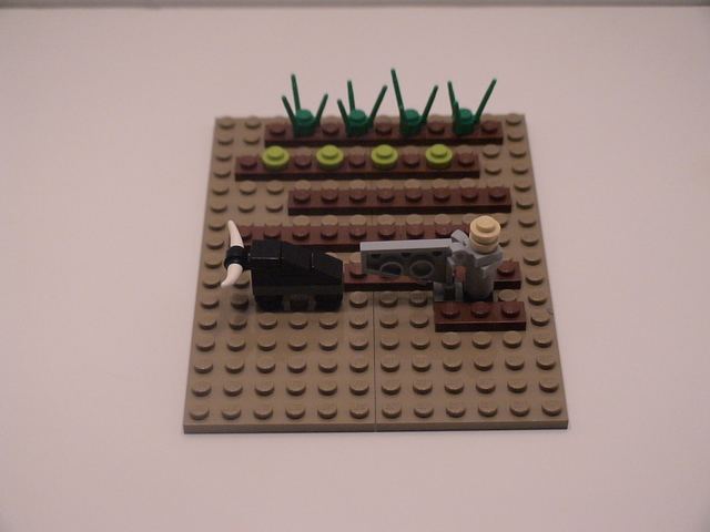 micro.jpg