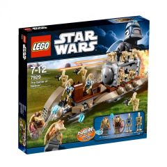 7929 1.jpg