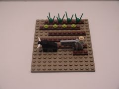 micro.jpg