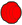stud red