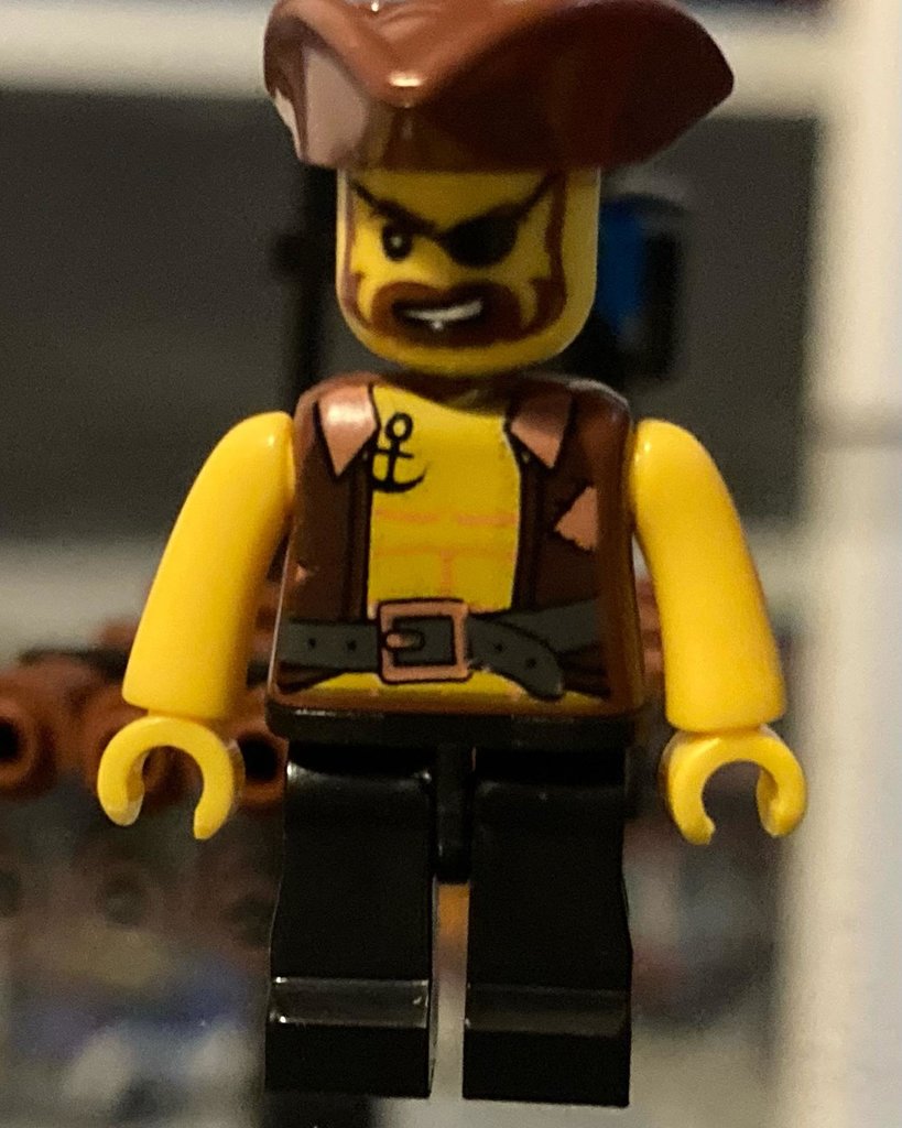 Medievalbrick-pirate1.jpg
