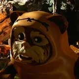 wicket