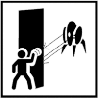 shelltexture