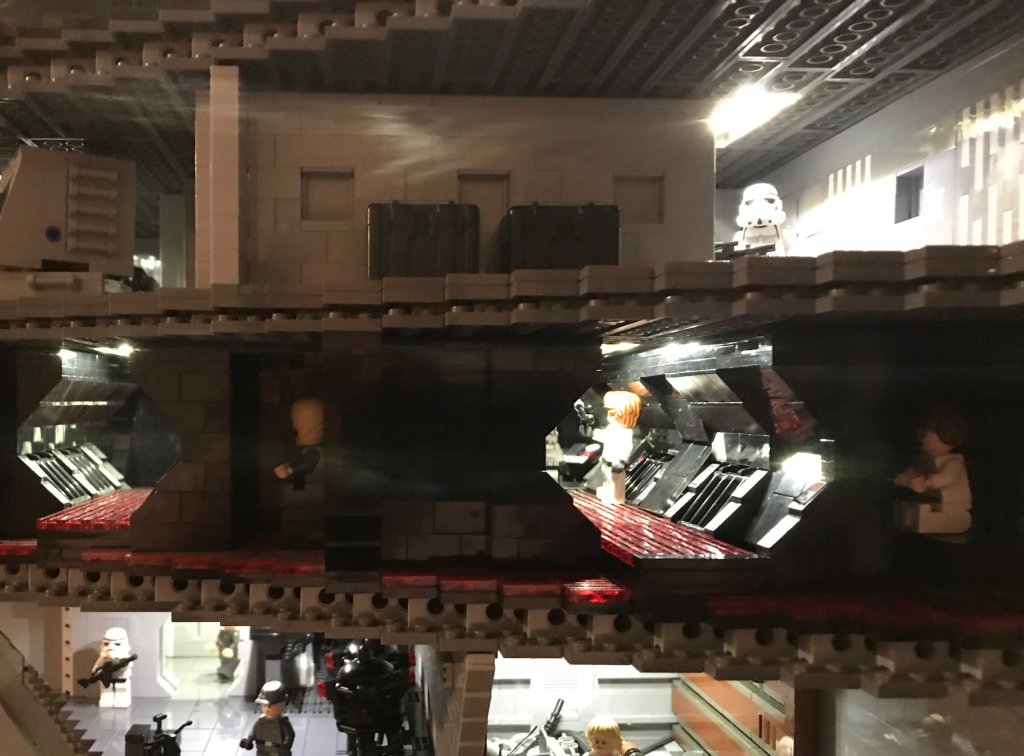 Get in there you big furry oaf.jpg