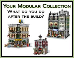 ModularCollectionAfterTheBuild