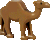 camel.gif