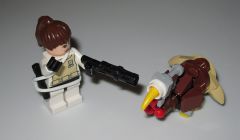 SWU vs Thanksgiving by Rook