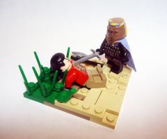 Cat3_The Bronze Destroyer_Darth Yogi.jpg