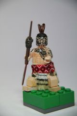 Cat1_Maori Warrior from New Zealand_Tomcat RIO.jpg
