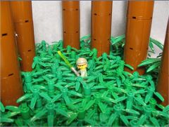 Luke on Endor, by rogueang.jpg