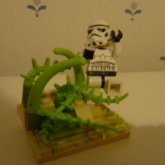 Lost In The Swamp, By Dragonfire