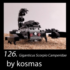 1699184 kosmas GiganticusScorpioCamperidae F