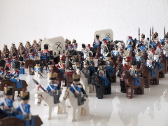 Napoleon's Army