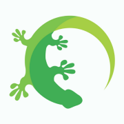 Green Gecko