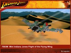 Mini Flying Wing