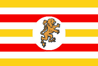 COT Flag.jpg